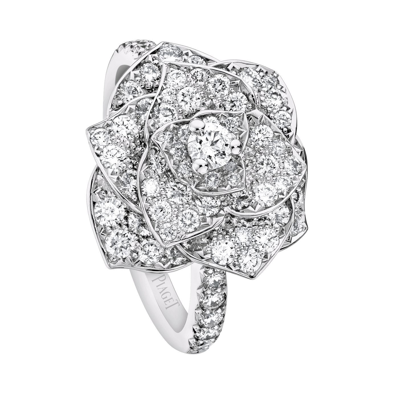Piaget Rose戒指
