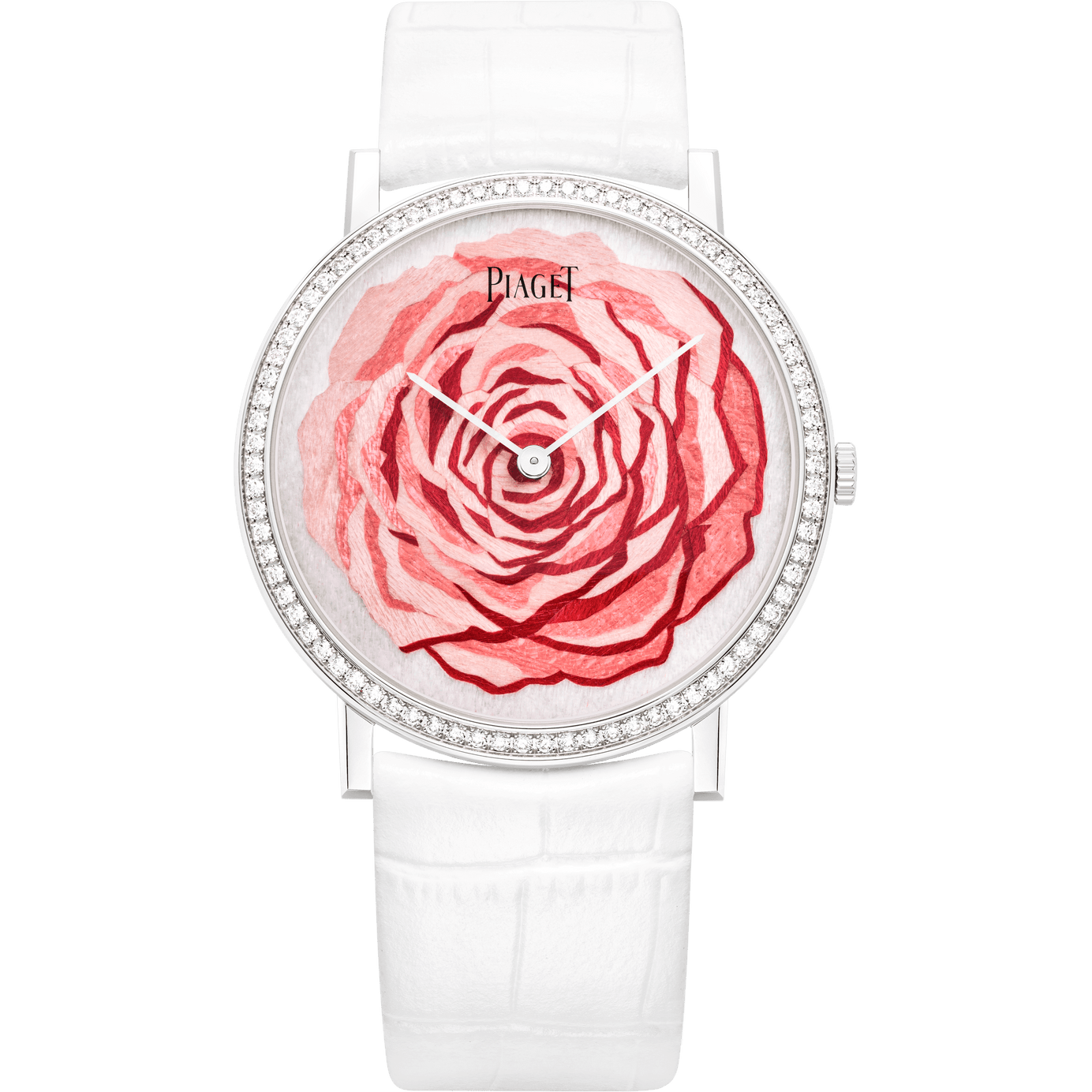 Altiplano Rose腕表