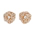 Piaget Rose耳環
